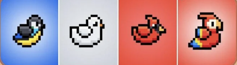BIRD Daily Combo 11 June 2025